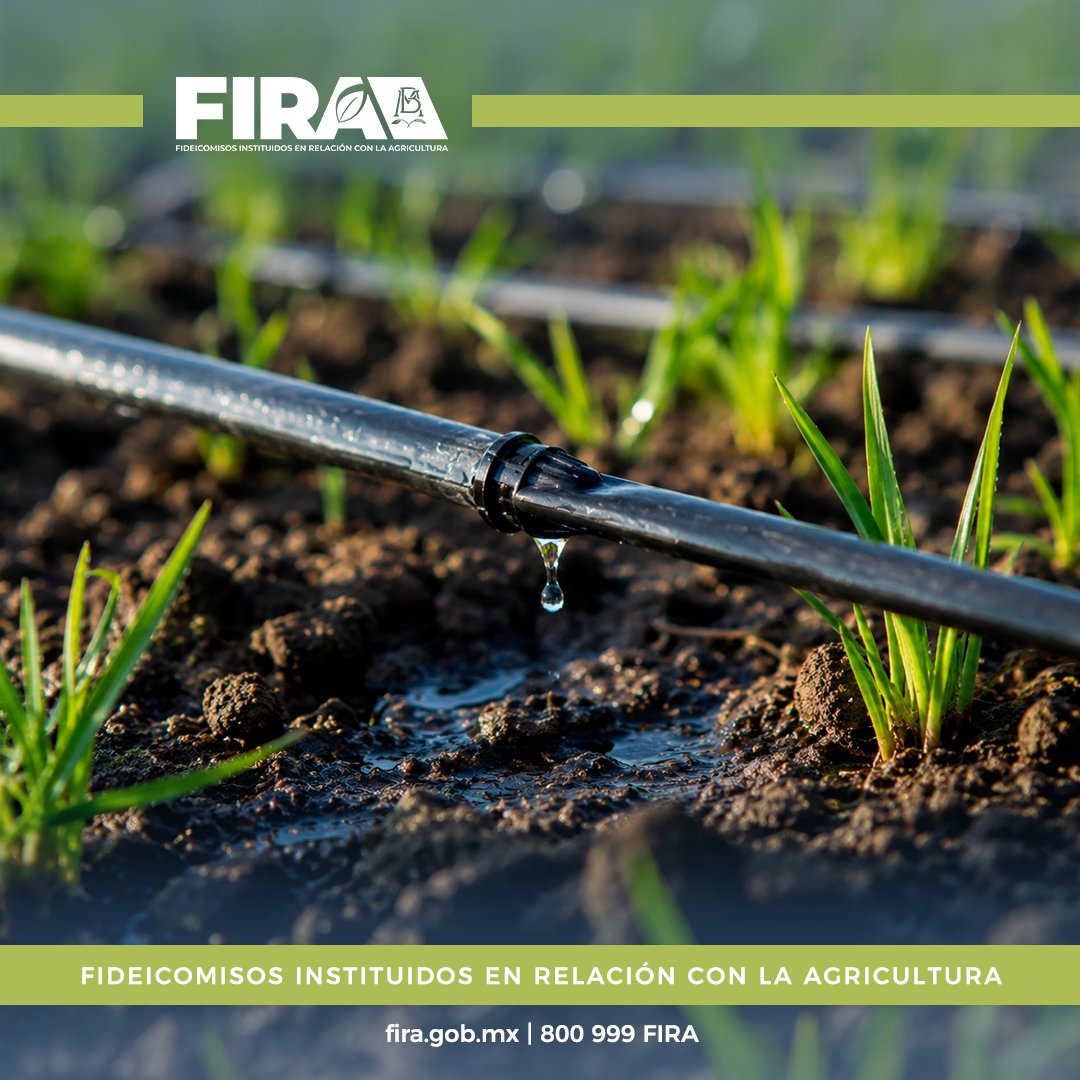 FIRA tweet media