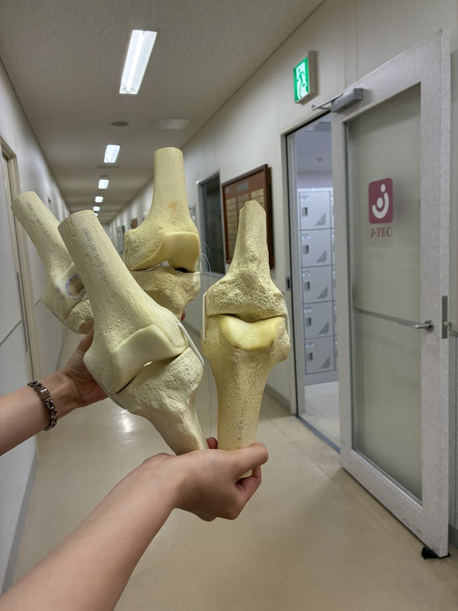 J-TEC(再生医療)【公式】🧫🧪 tweet media