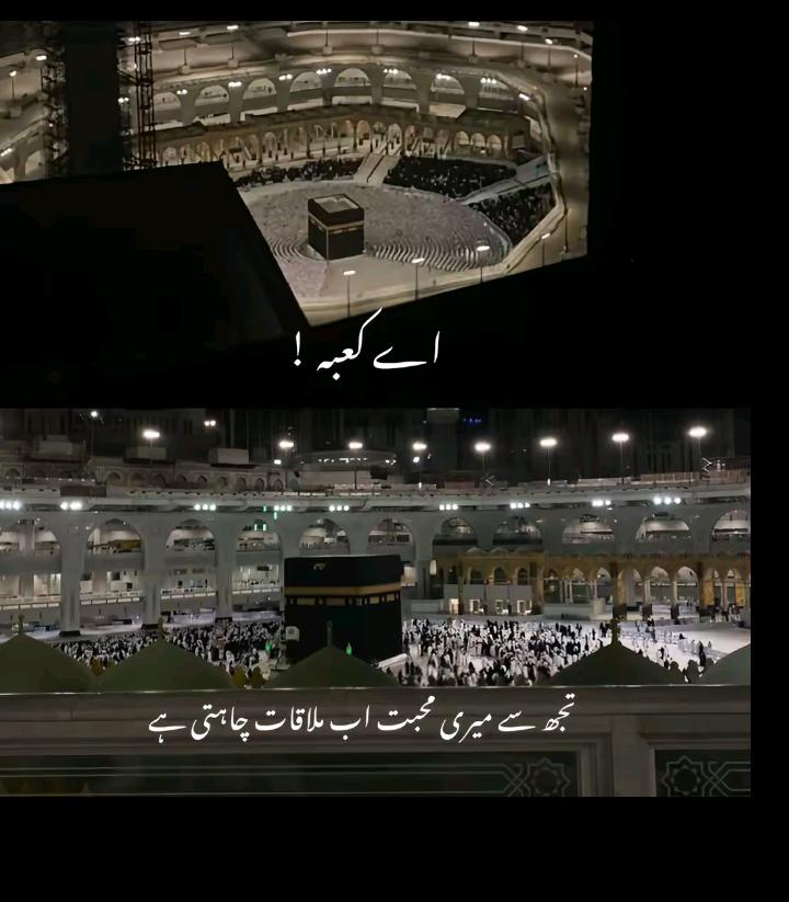Fari Shah tweet media