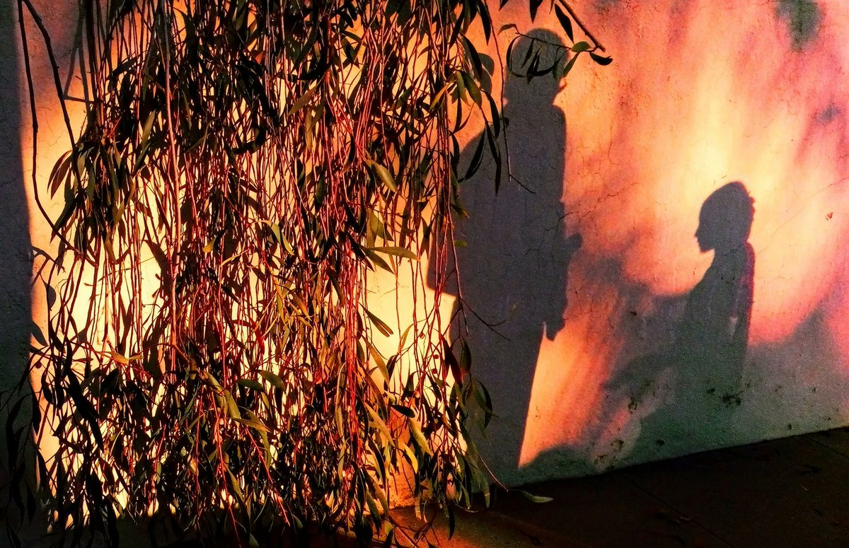 DHGPhotoArt's tweet photo. "Fiesta Golden Hour Soliloquy" 

Dedicated to #GueorguiPinkhassov, the brilliant film photographic artist

https://t.co/pu1FoAiAct

#FineArtPhotography by #DouglasHitchGraves

https://t.co/S0wqt9GIQ6

https://t.co/OVSPUkSxGS

#ArtPhotography #Photography #PhotographicArt https://t.co/kH9KmMEo0j