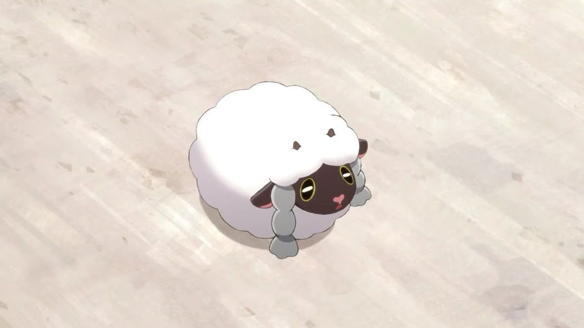 🐑 of 🏠twt tweet media