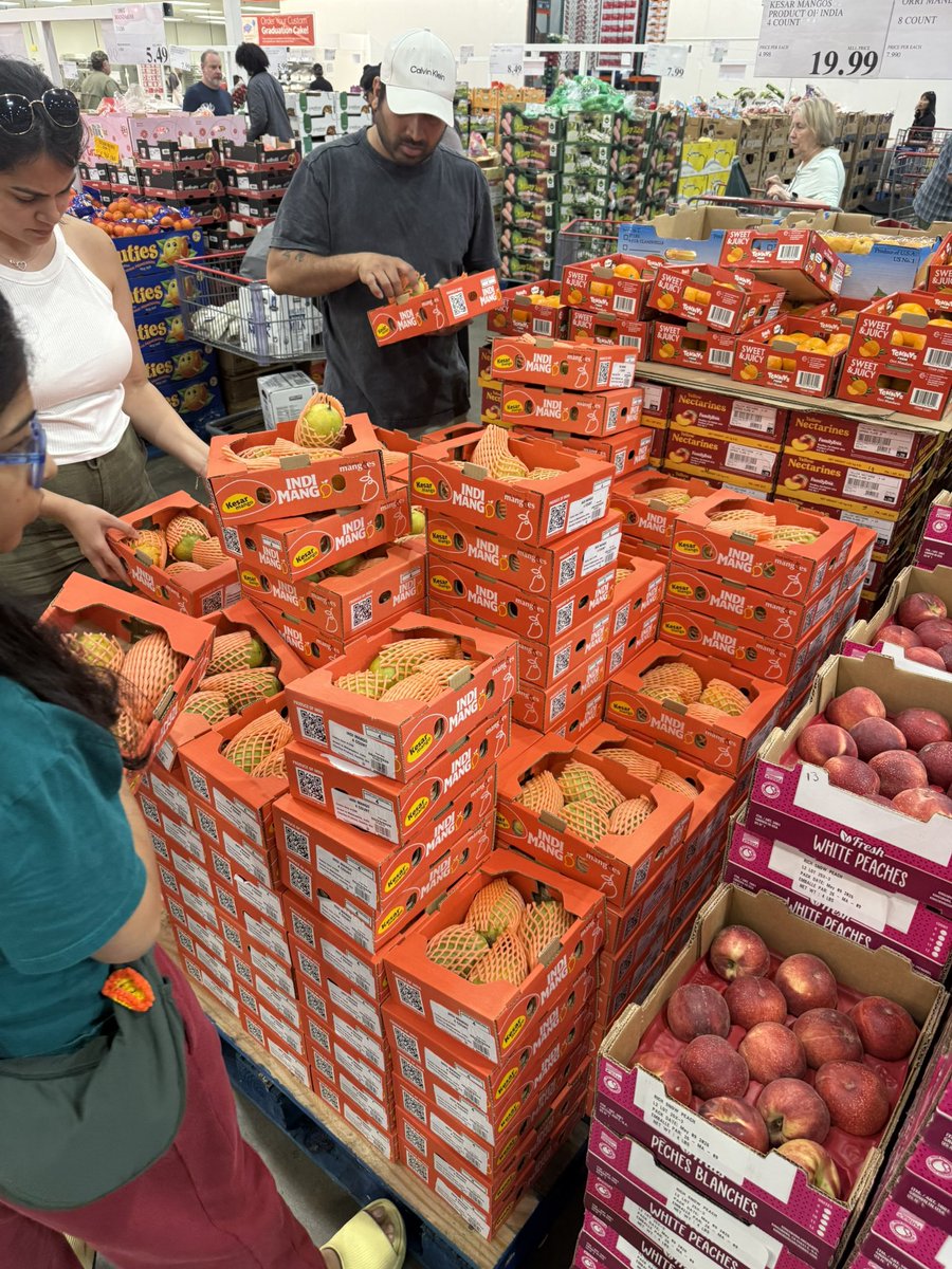 maxwellwillis's tweet photo. @pitdesi feel like I saw you post about mangoes a while ago. Are these the best kind (kesar mangoes)? Everyone was buying them https://t.co/wW2ZkXDtHm