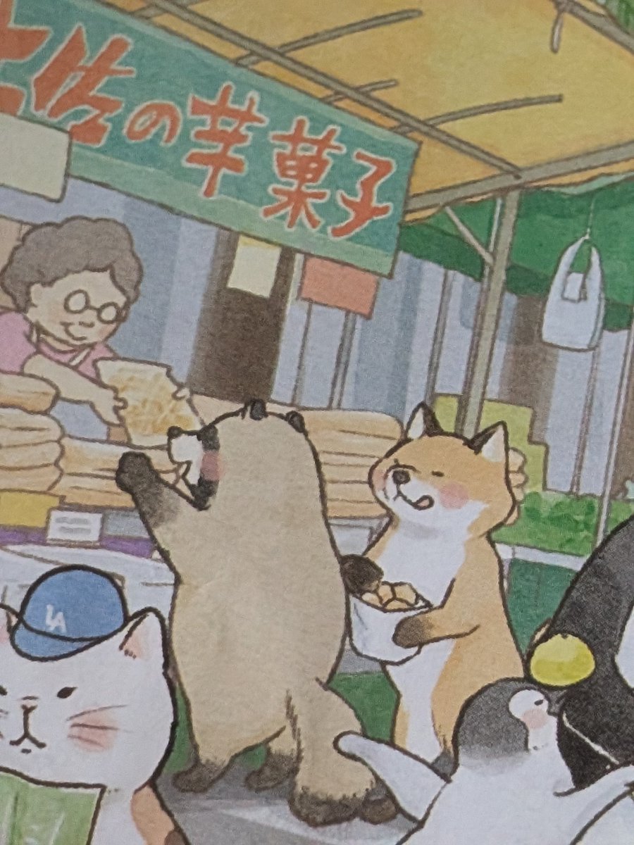 gomakomame tweet media