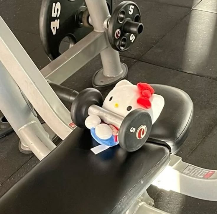 stphntps's tweet photo. spamming chest everyday lol https://t.co/Vs84SNWM7i