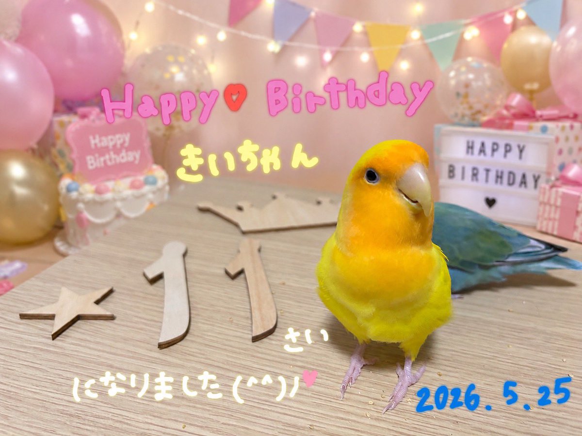 ゆん tweet media