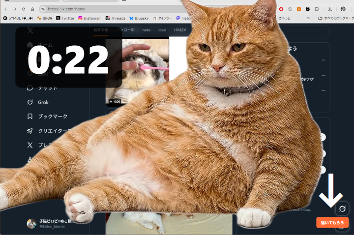 kitten_hiroshi's tweet photo. じゃ~ん🥁
ブラウザの #CatGatekeeper より優先されるのですね
🟧「退いてもらう」ボタン、Photoshopで選択中のとき、チャトラさんまで選択されちゃいますね😹ゥフフ
https://t.co/2FRSptO2bK
⬆️マウスアイコンもかわいいよ
右上日本語→PCで使う→WindowsはMicrosoftアプリで🙋♂️ https://t.co/mX0xNXpLMX