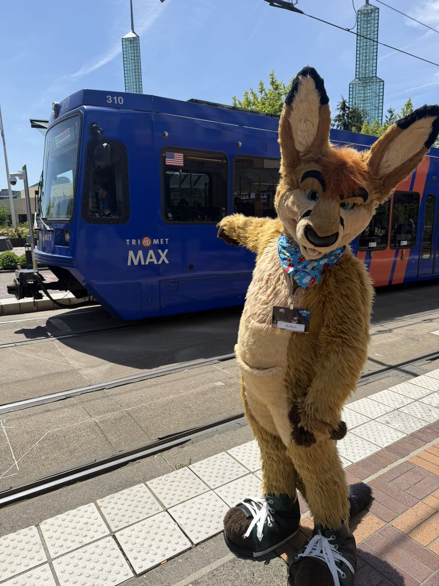 Robbert Kangaroo tweet media