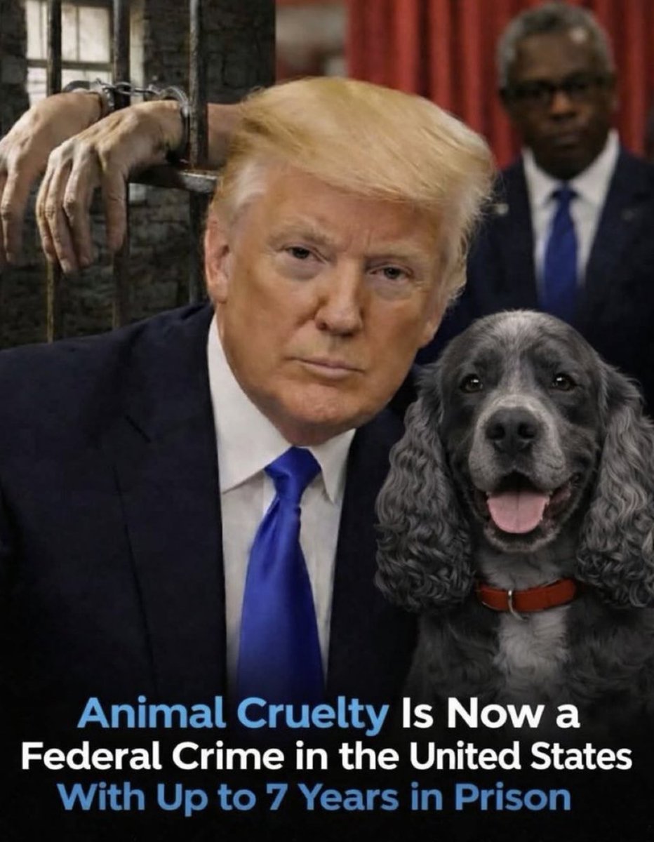 PascalNajadi03's tweet photo. Do you support President Trump's protecting animals and pets from cruelty? 🐶🥰😸

A. YES
B. Hell Yes! https://t.co/8KMAZ1YU1L