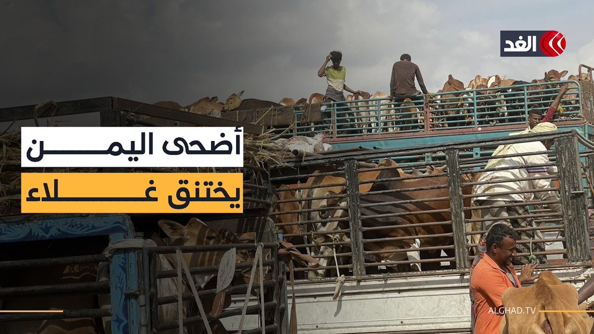 عيد الأضحى في اليمن.. انهيار سبل المعيشة يفرغ أسواق الأضاحي 