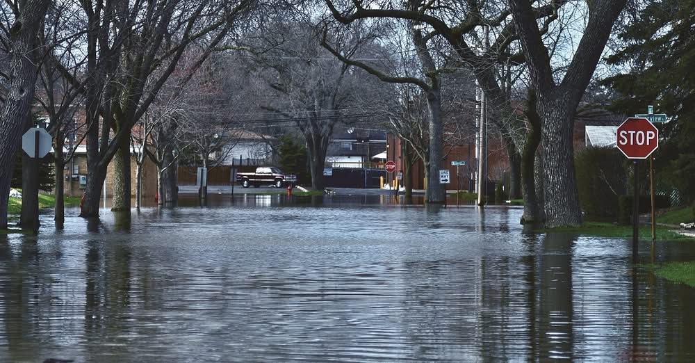 Toronto and Region Conservation Authority tweet media