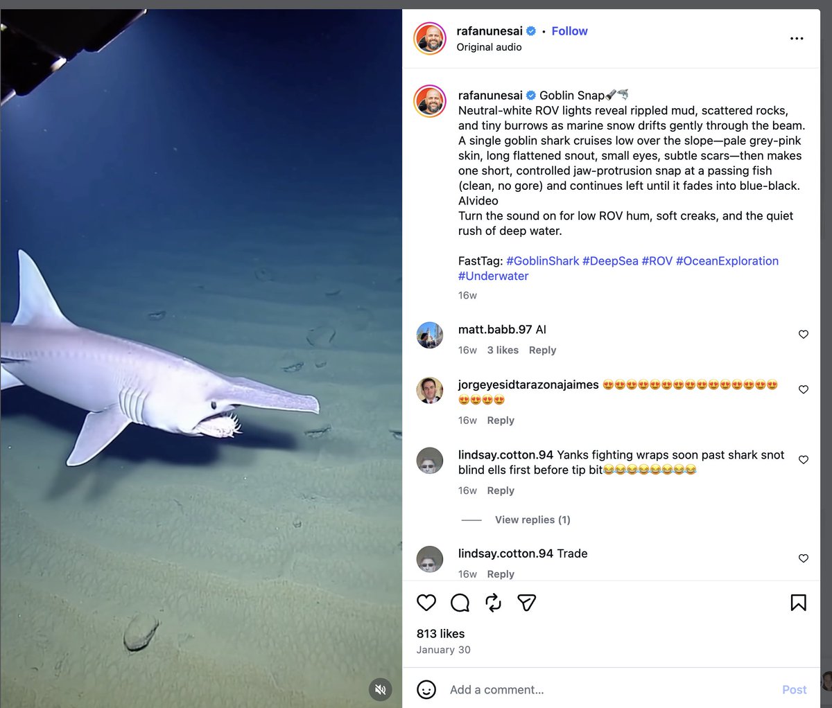 Liam Elward Paleoart 🇵🇸 tweet media