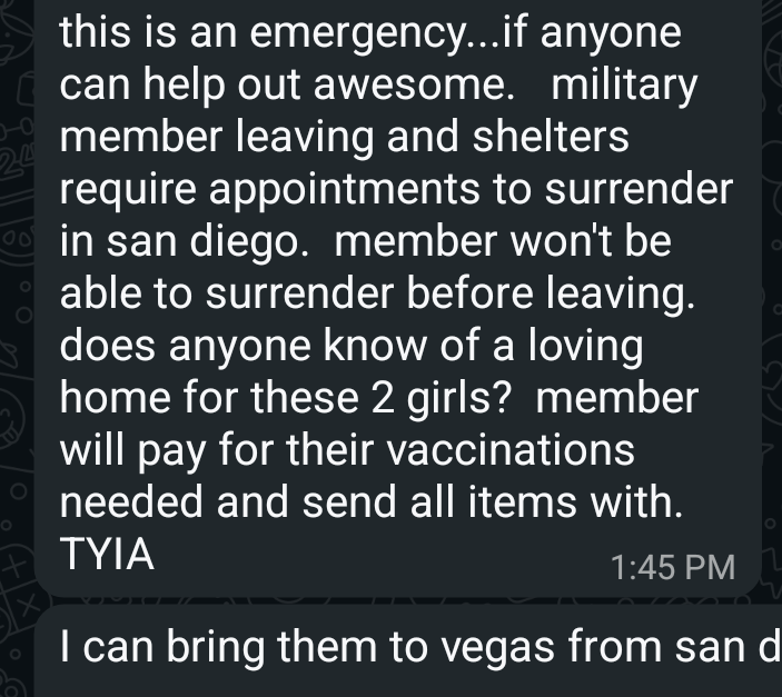 OriginalCanman's tweet photo. @LaRueMcCayLV sorry to bother you, got your name from @702ValetParker (hope this is the right person).

Might you be able to point in the right direction for a doggo relocation/fostering situation? More info in the pics. Feel free to DM, though I don't know much more than this. https://t.co/o18AVahlCc