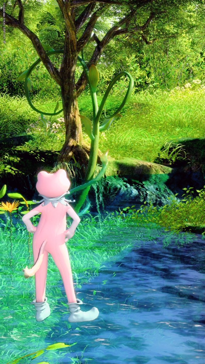 Noraemon🐸🍄🌿 tweet media