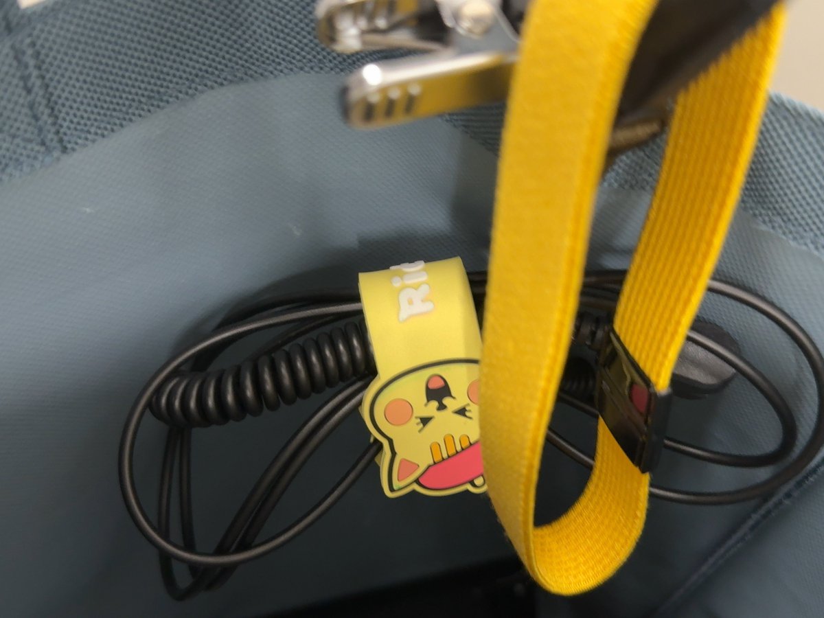 パル🐿️゙ tweet media