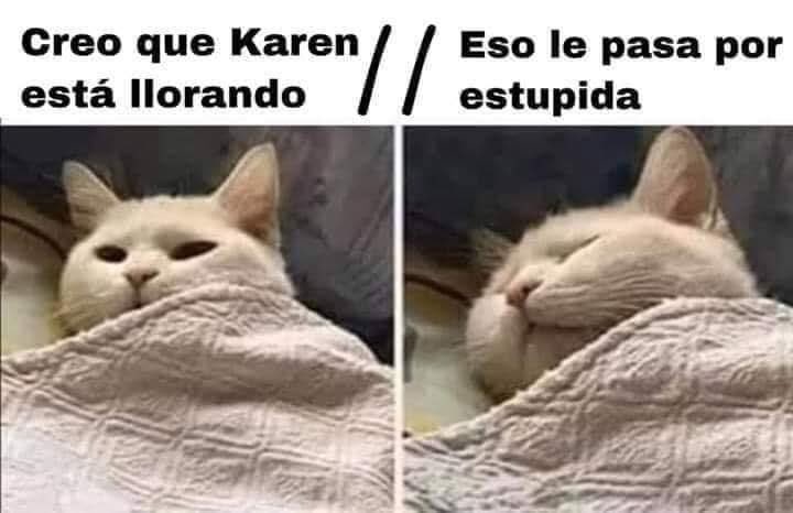 Ángeles tweet media