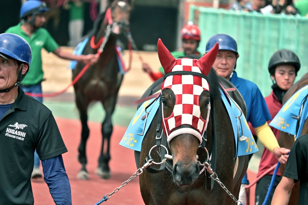 Tuki041229's tweet photo. 1R  2歳  新馬
       スーパーホープフルデビュー
       900m
ブリーズホープ×長谷川蓮
2026.05.24 https://t.co/0QFifAQ03I