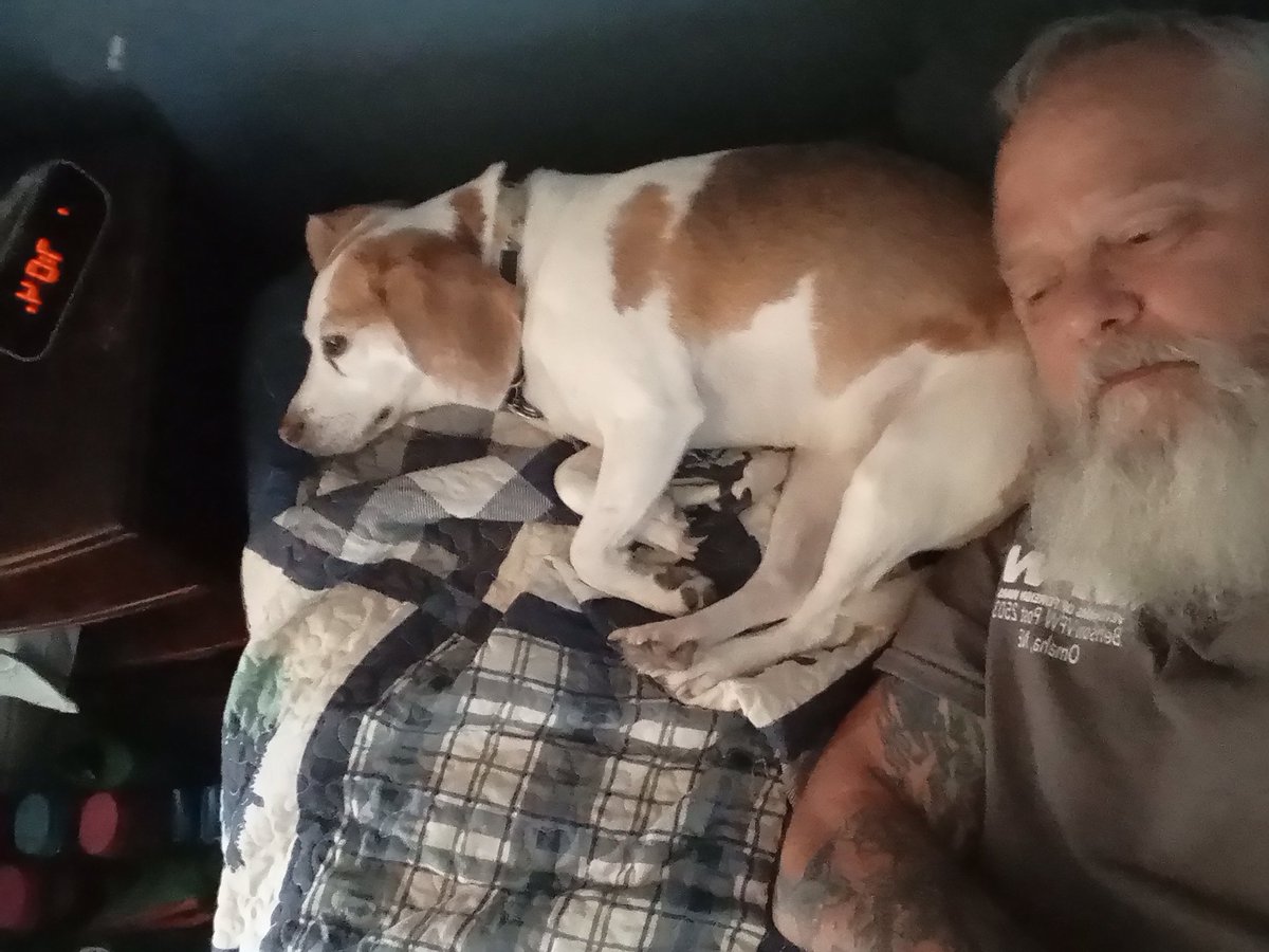 The Weekly Beagle tweet media