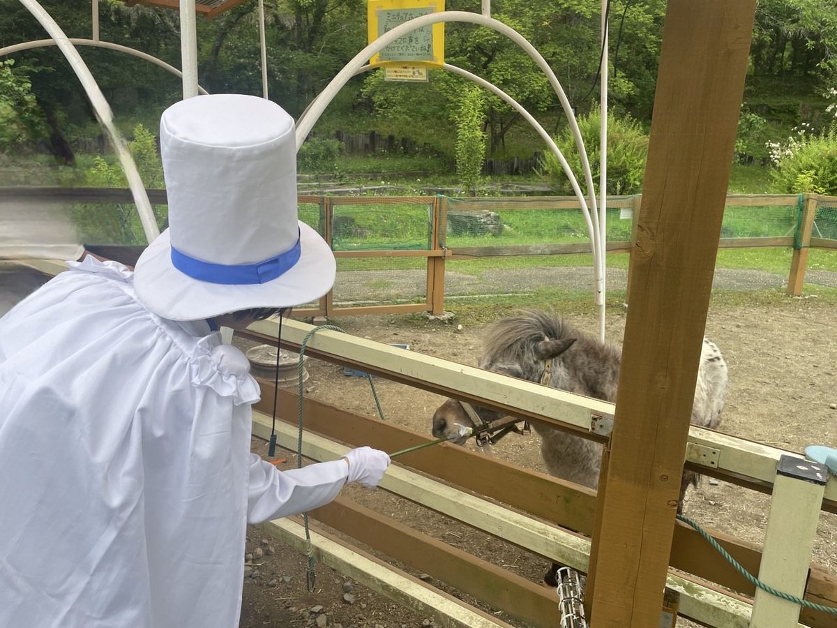 chobi_mine's tweet photo. 園内には　様々な動物達と触れ合える場所があって、おやつを購入すれば｢餌やり体験｣も出来ます

お手製���｢餌やり棒？｣の先に🥬🥕等を挟む方法なので、小さなお子様も安心して体験できますよ
(о´∀`о)

📸@S_RunkerNoSab 

#恵那峡ワンダーランド
#ふれあいどうぶつひろば
#これぱ https://t.co/X7nKss3p8x