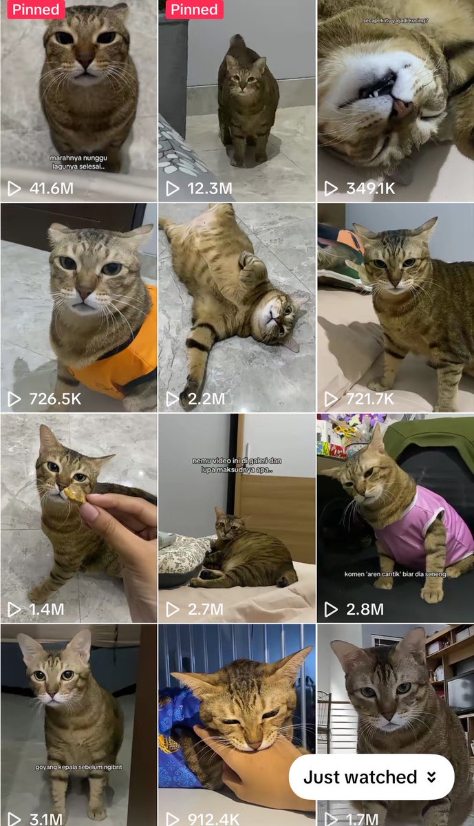 raa 🐈 tweet media
