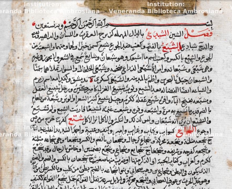 د.فيصل الجربوعي tweet media