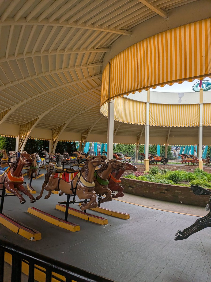 JMar9189's tweet photo. Cedar Downs, my favorite flat ride 🐎 https://t.co/4Krk7emkW9