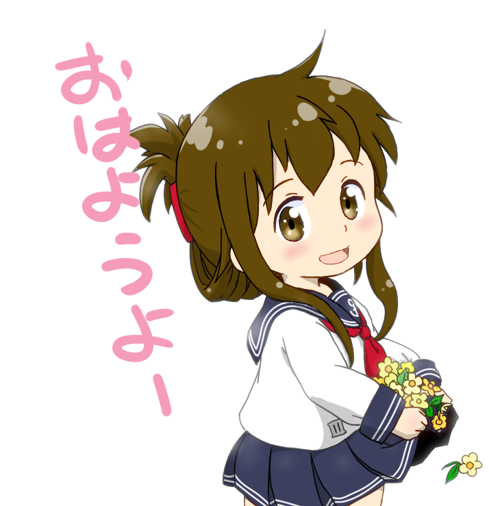 ざつねこ tweet media
