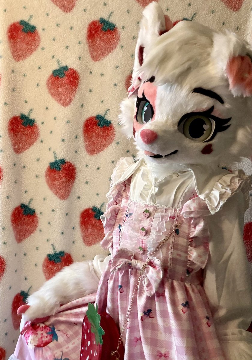 LittleBeauPup's tweet photo. Berri is here! <3 I couldn’t decide which photo I liked best, so have all of them! <3 Felt so cute taking these >w< https://t.co/3qtO7y6djv