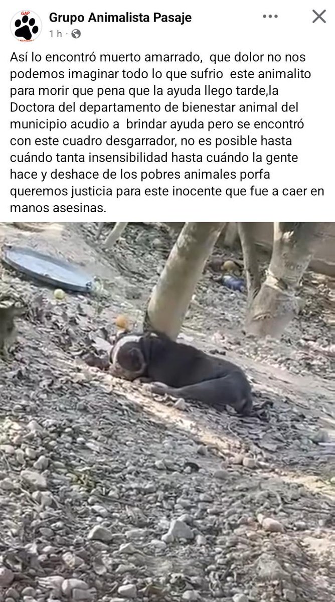 Bloque Defensores An tweet media