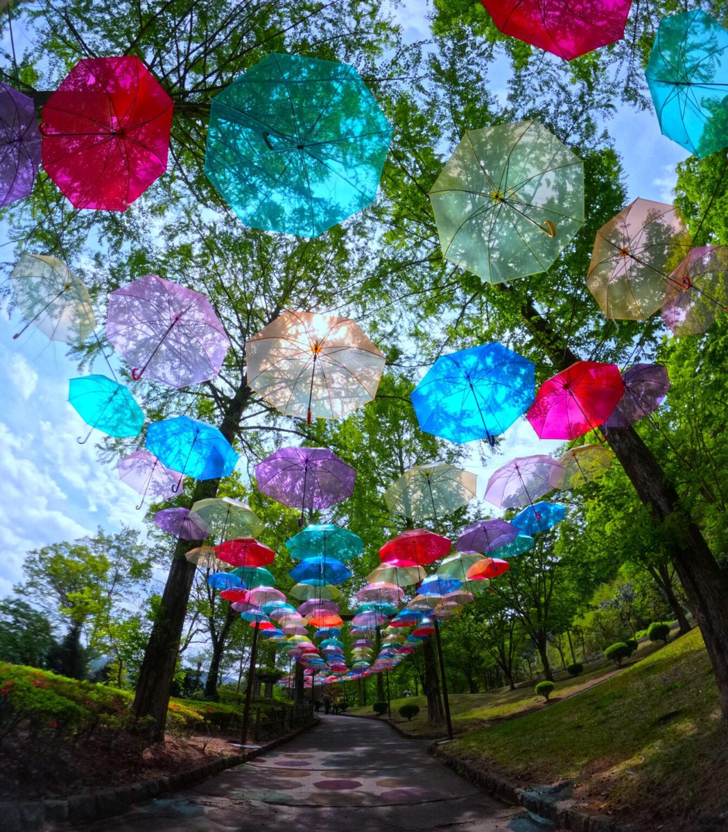 5/25 Mon. #KizuJapan 🇯🇵 📸 群馬県甘楽郡甘楽町 「甘楽総合公園」の