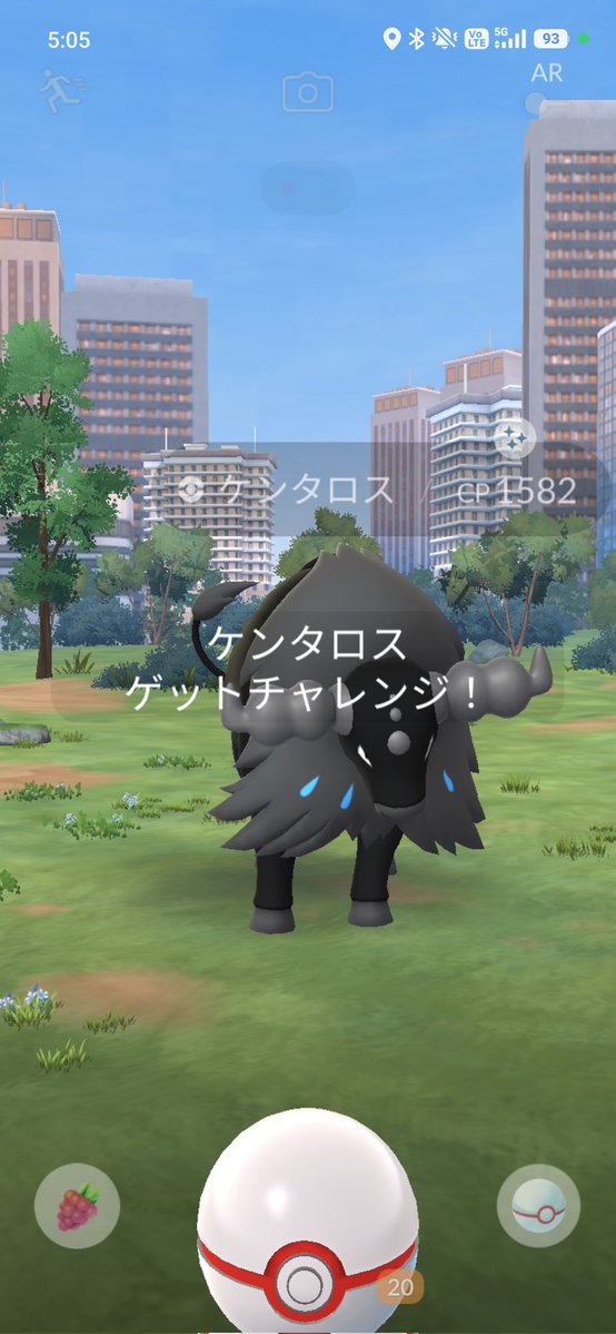カナリィ tweet media