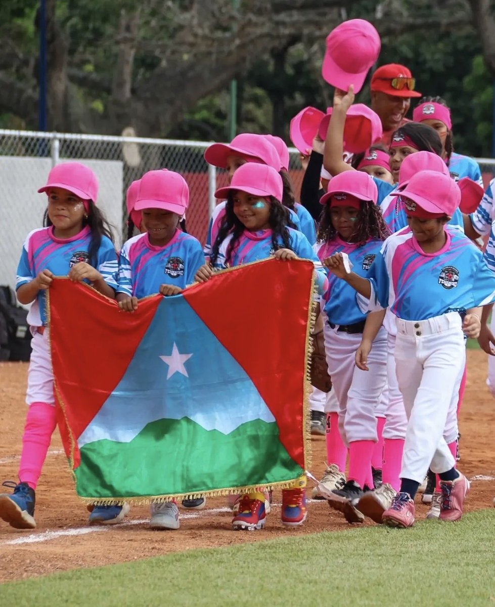 FEVEBEISBOL tweet media