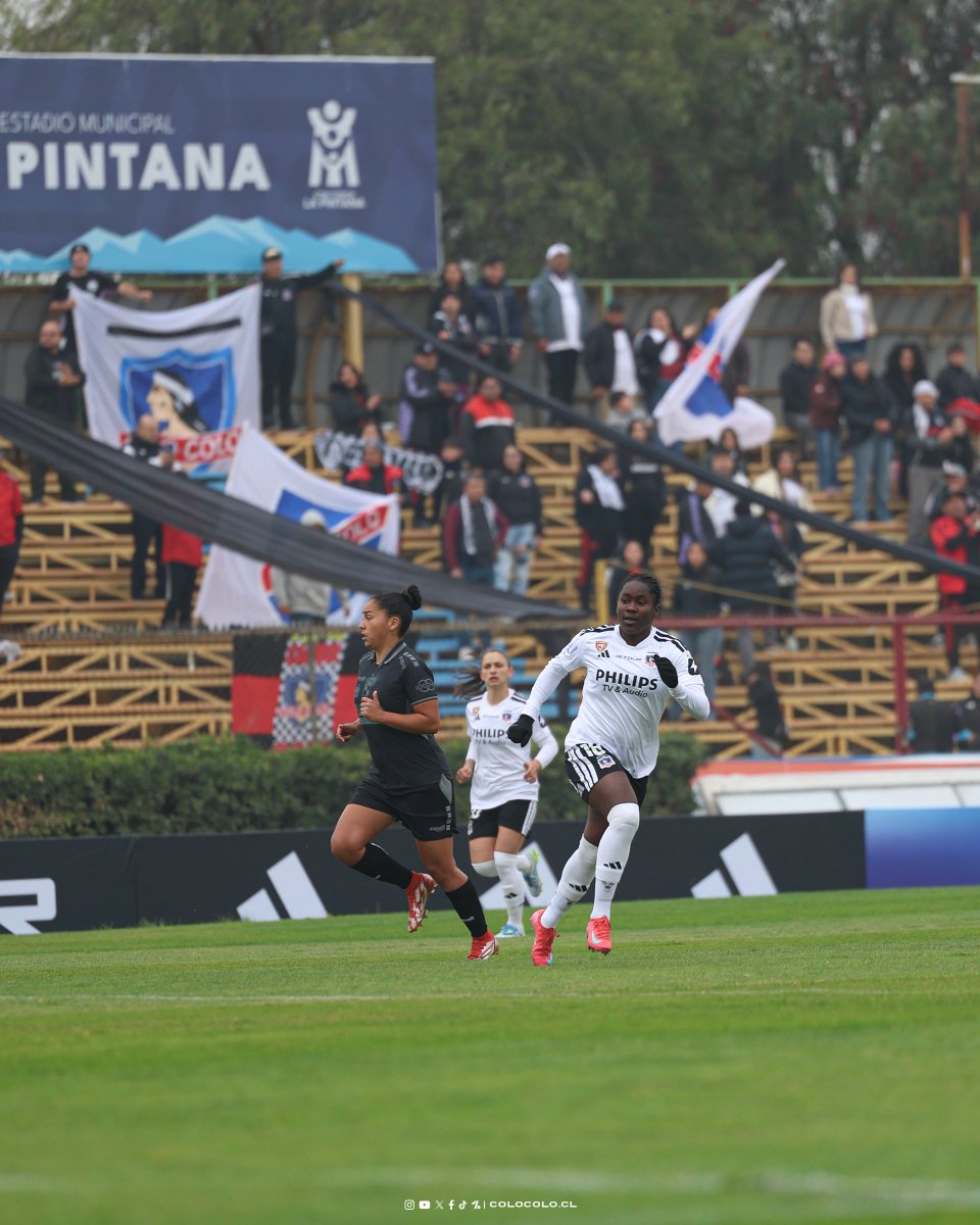 Colo-Colo Femenino tweet media