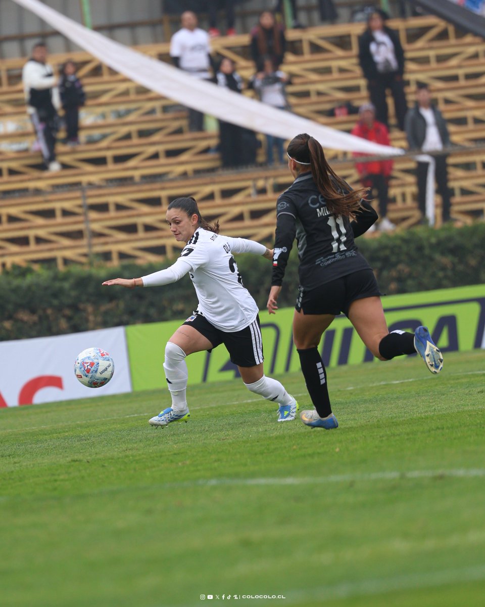 Colo-Colo Femenino tweet media