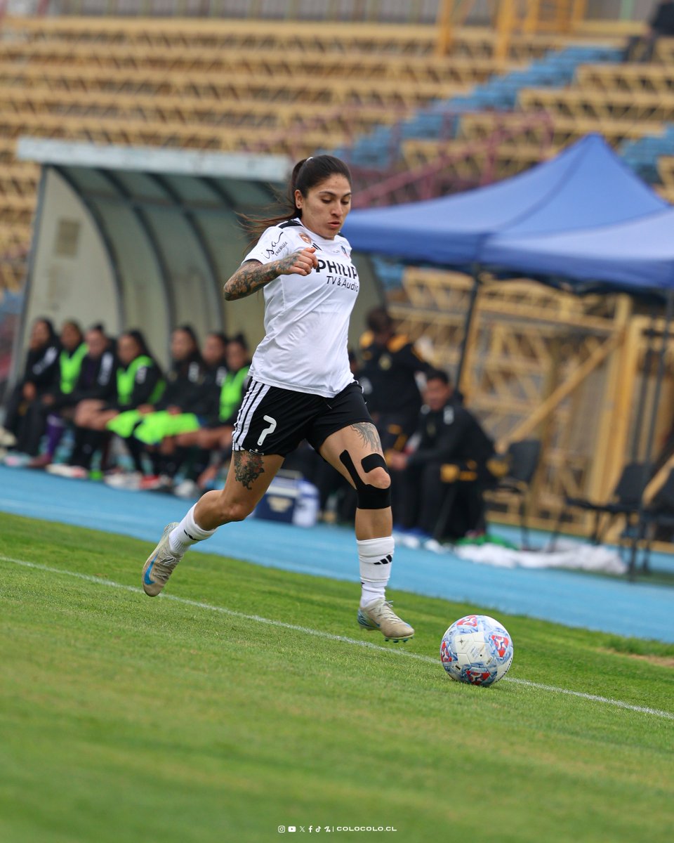 Colo-Colo Femenino tweet media
