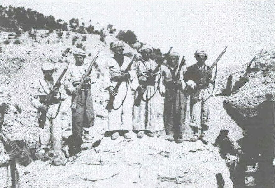 Kurdbydefault tweet media