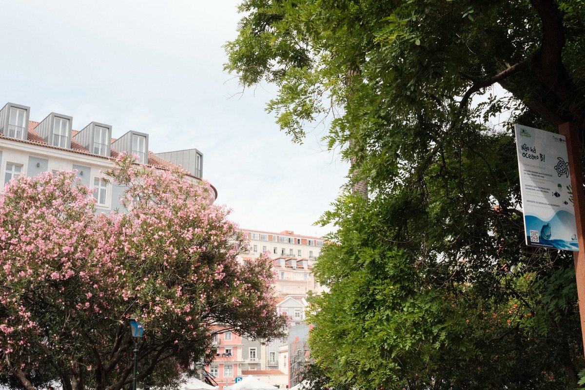 PhilManoug's tweet photo. Lisbon in the spring https://t.co/2XeNOxUa5W