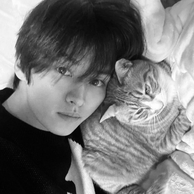 juustparanoid's tweet photo. 📸🐾

#ssd #stayselcaday #leeknow #stay #straykids #skz https://t.co/sCRqx5R1sz