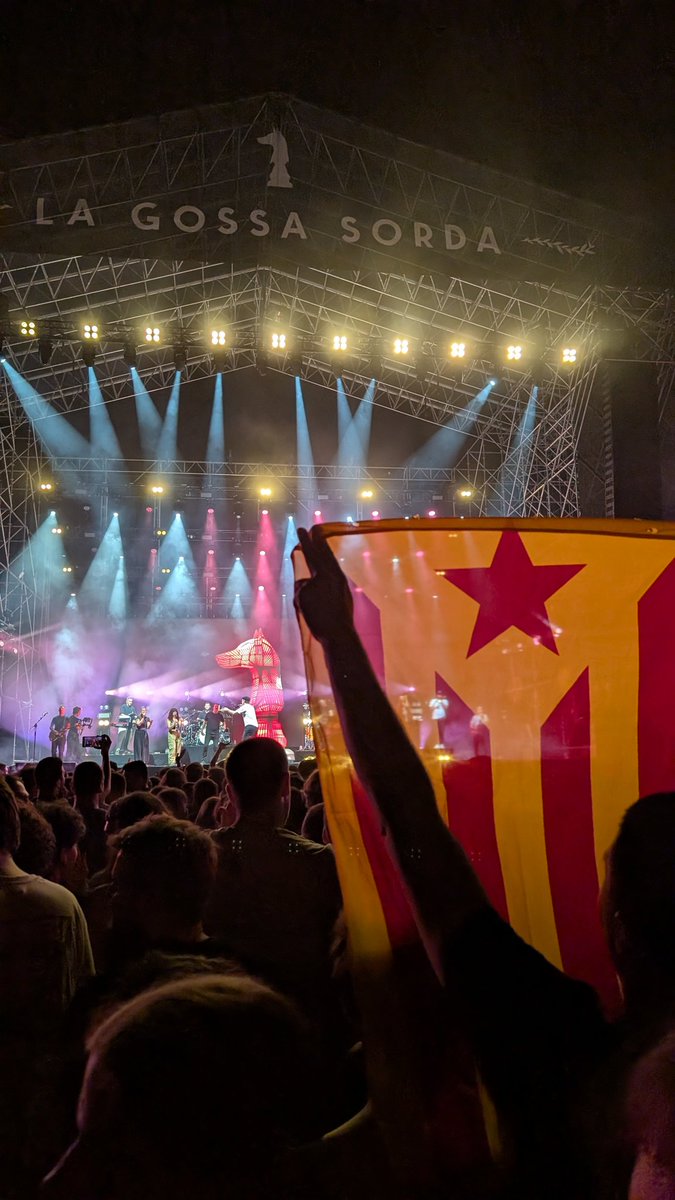 martirmn's tweet photo. Quina nit ahir! Com us trobàvem a faltar! 🔥 @LaGossaSorda_ https://t.co/RmcAlJaqSp