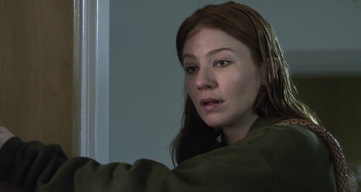 Lynn Collins Fan • Fansite tweet media