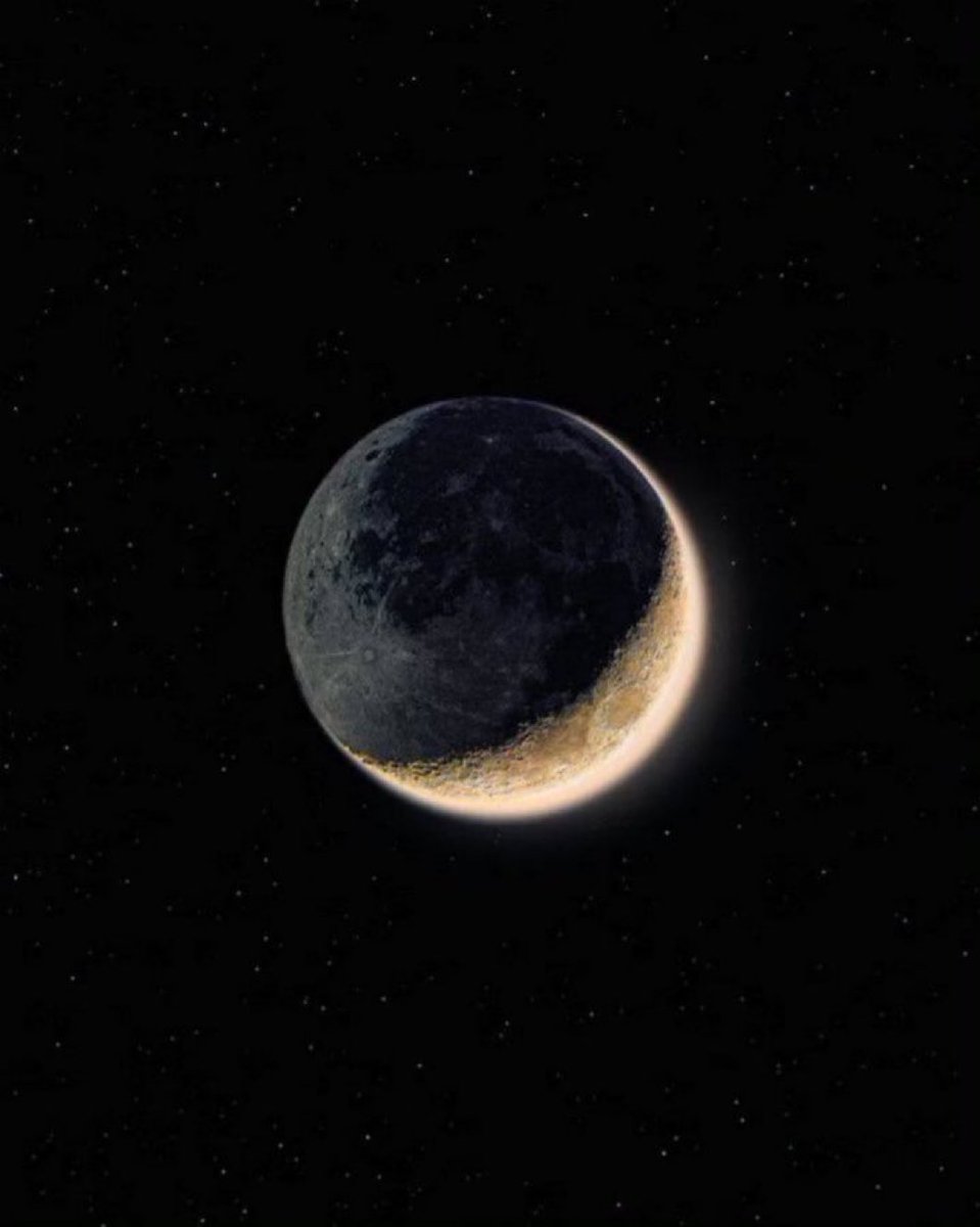 MOON LOVER tweet media