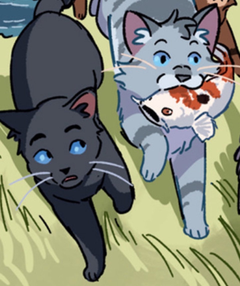 simons / cyima 🐈 tweet media