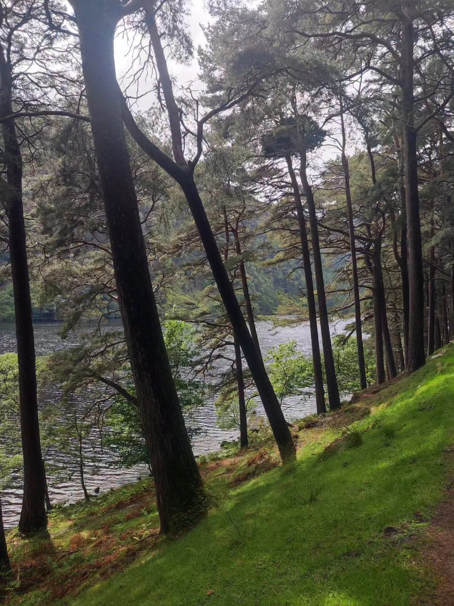 VerdCel's tweet photo. Viure viatjant. 1/4.
El paisatge i la natura d’Éire (Irlanda).
Aquesta illa/nació té alguna cosa difícil d’explicar fins que la veus. El verd no és un color folklòric: és real. És intens, profund i omnipresent. https://t.co/Ez9JHSTpo4