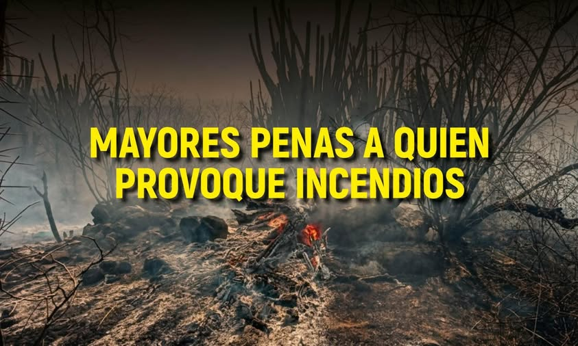Planoinforma's tweet photo. #PortadaPI | 🔥🌲 San Luis Potosí se colocó entre las entidades con mayor superficie afectada por incendios forestales en 2026, situación que impulsó propuestas para endurecer sanciones contra quienes provoquen estos siniestros de manera intencional.
Detalles: https://t.co/Sr5o7SE6Nd