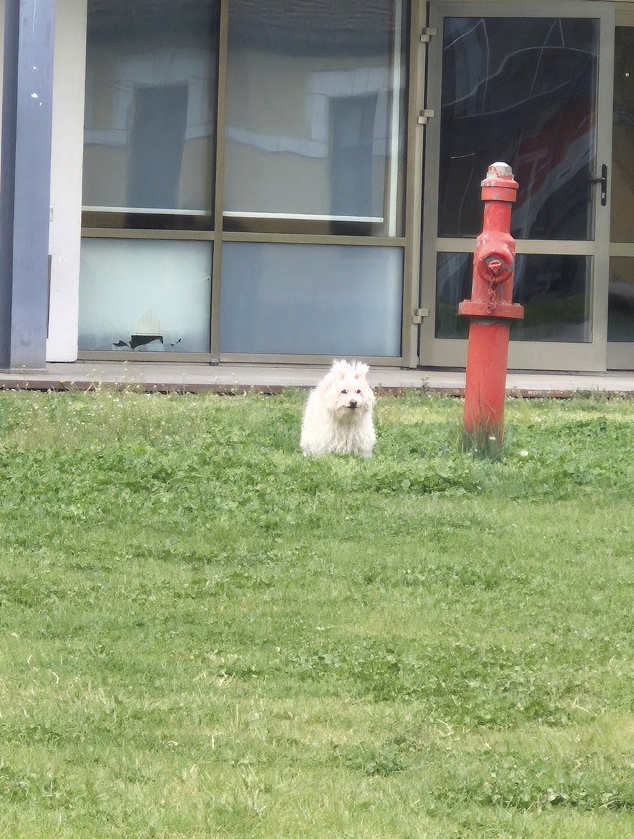 Bilgi Dans Kulübü tweet media