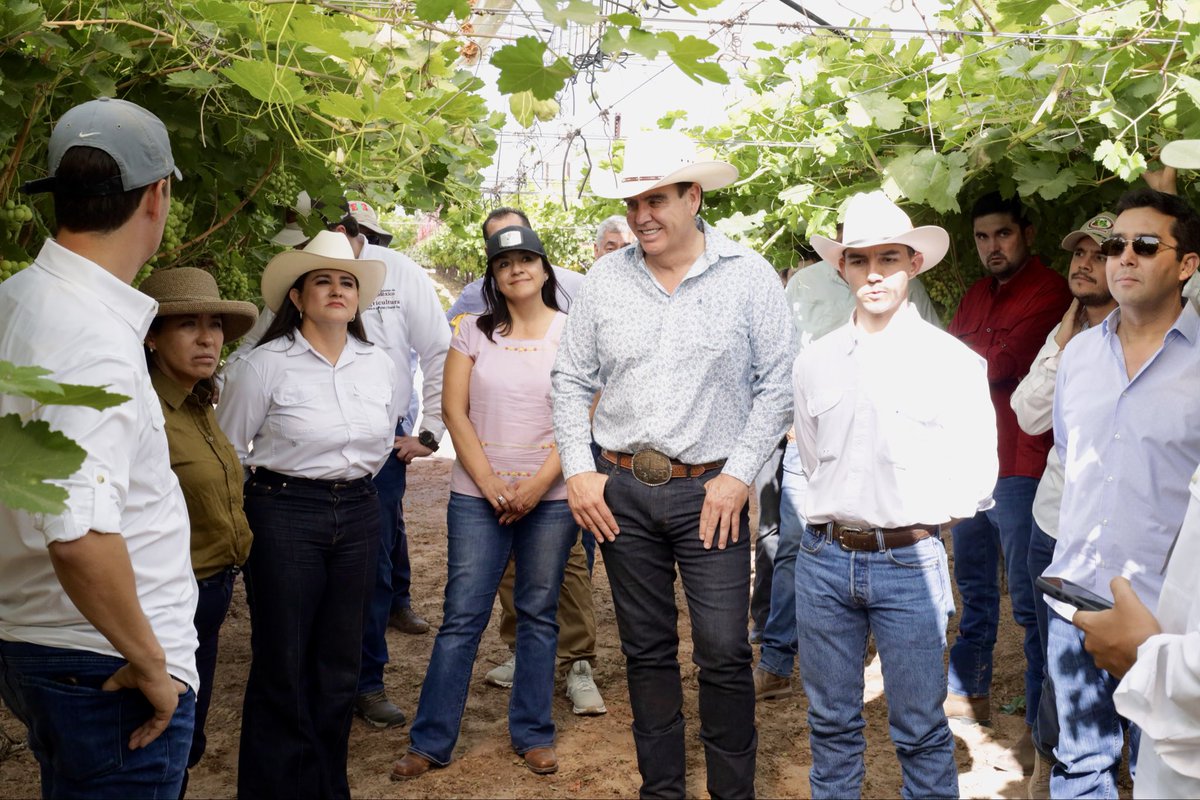 CubanoMier's tweet photo. Nuestros agricultores son un orgullo para todos los sonorenses, poniendo muy en alto el nombre de México en el mundo con productos de exportación, generando miles de empleos y bienestar para las familias de nuestra comunidad. Gracias amigos por su visita. 3/3 https://t.co/51Ij4Fhi5B