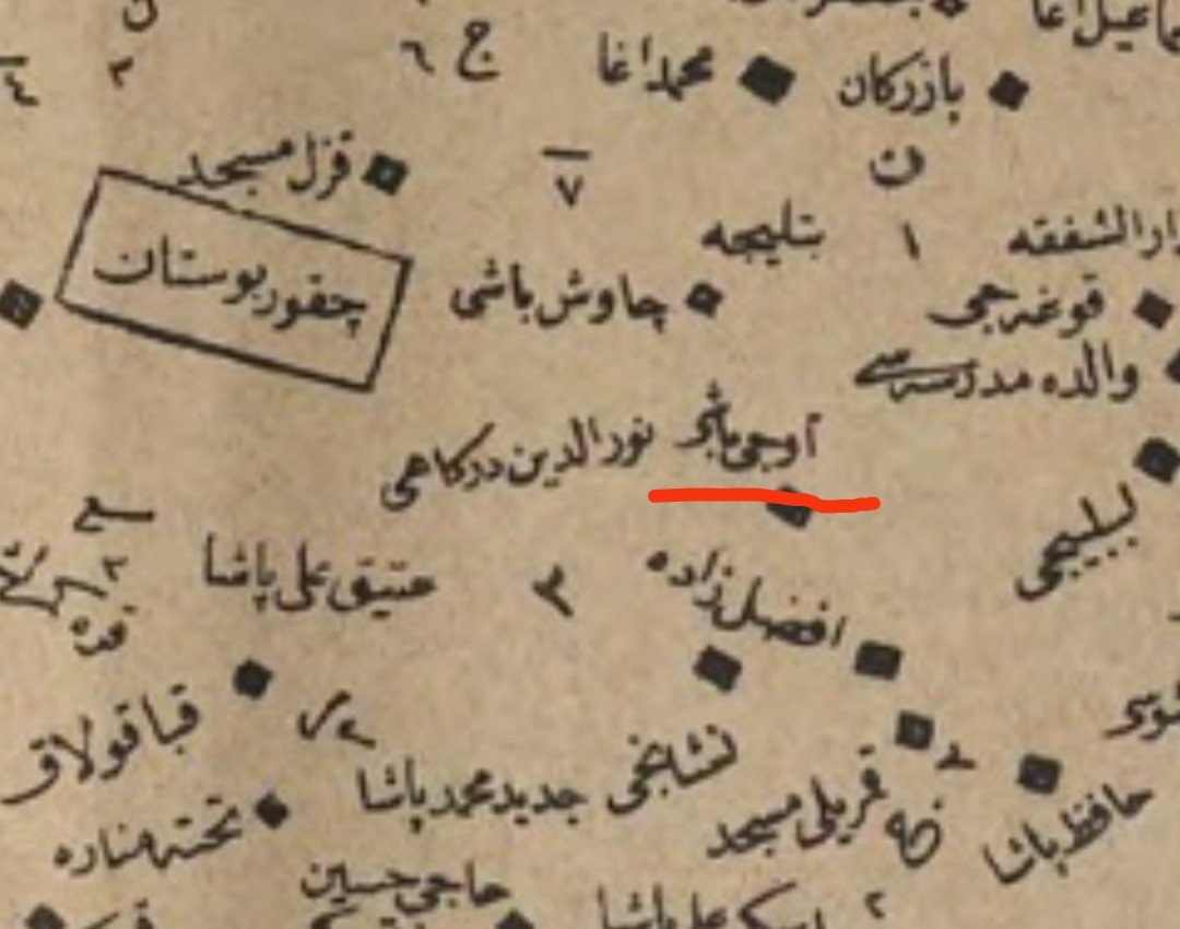 Ali Haydar Bravo tweet media