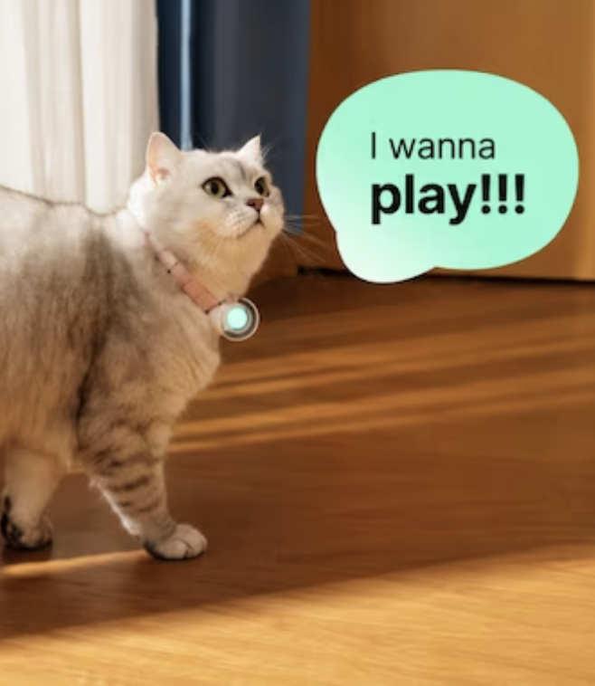 coinbureau's tweet photo. 🐶CHINA JUST BUILT AN AI PET TRANSLATOR

Chinese startup Meng Xiaoyi says its collar-like device can turn barks, meows, emotions, and pet behavior into human speech.

The company claims accuracy is approaching 95%.

Your pet may soon have subtitles.