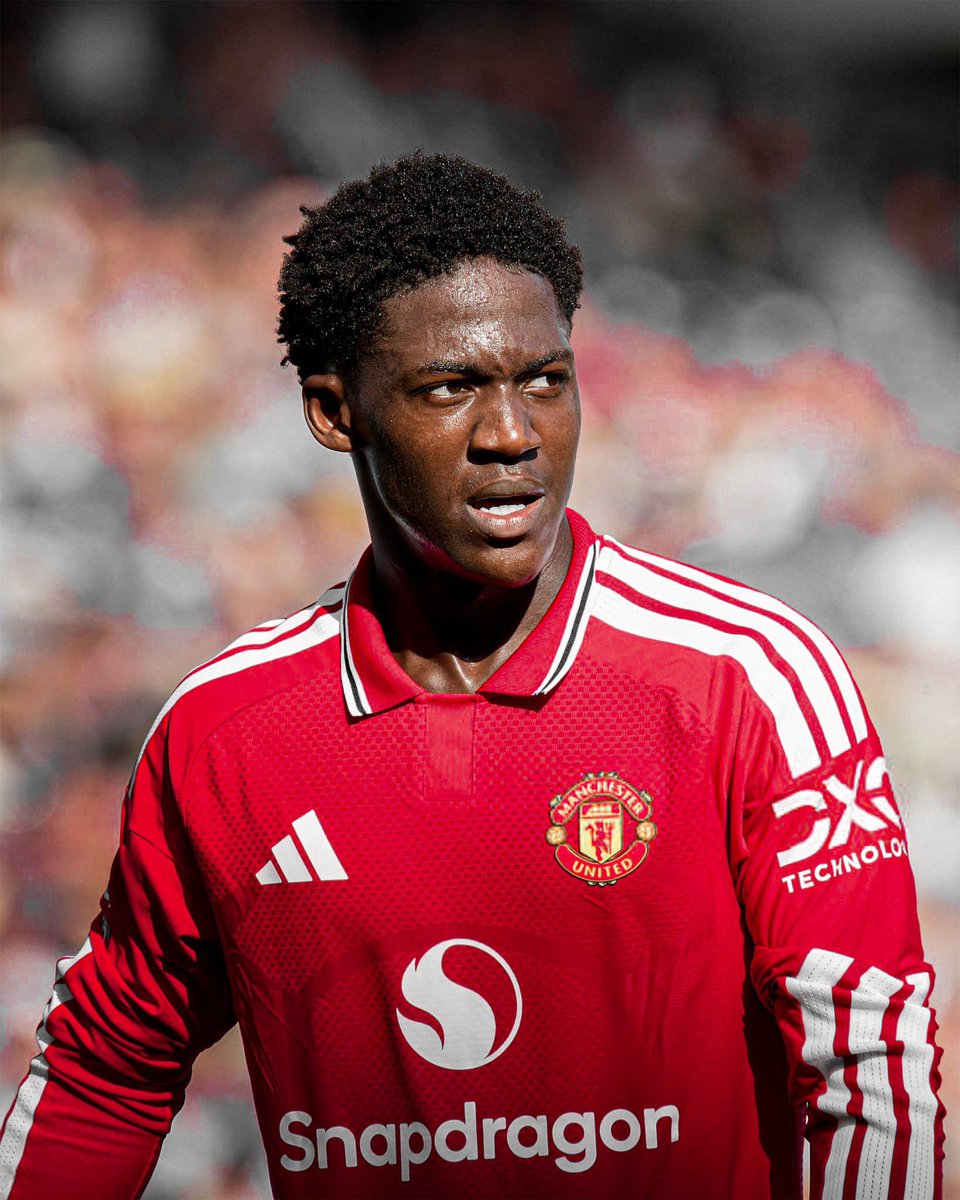 (fan) Frank 🧠🇾🇪 tweet media