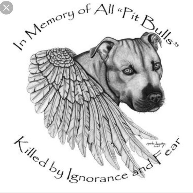 Pit Bulls Against Discrimination tweet media