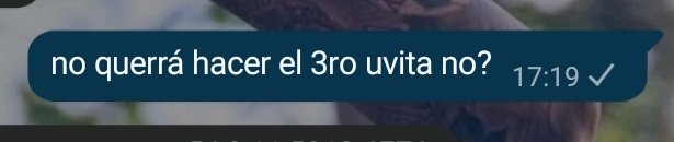 mayra tweet media